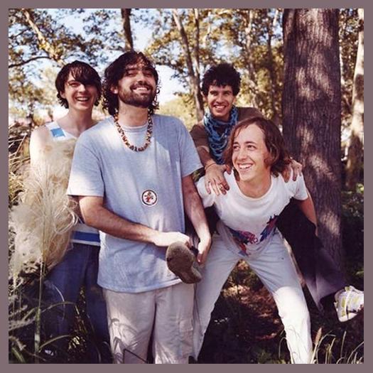 Animal Collective